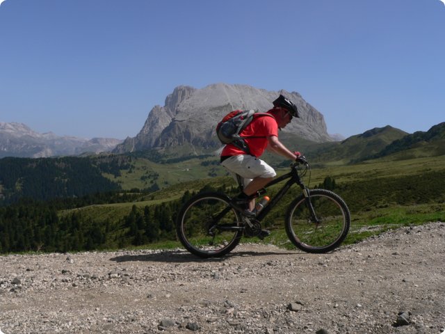 79.jpg