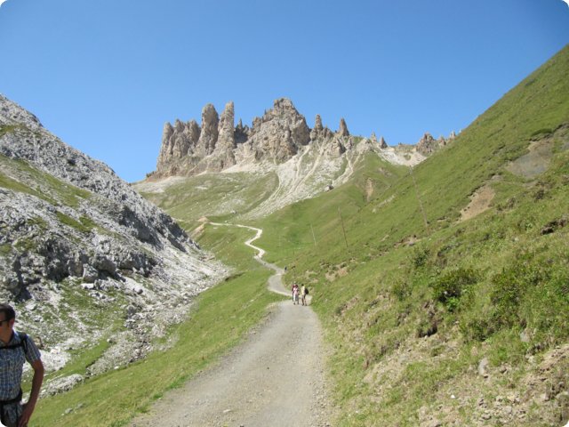 85.jpg