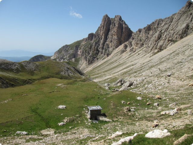 94.jpg