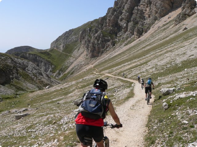 96.jpg