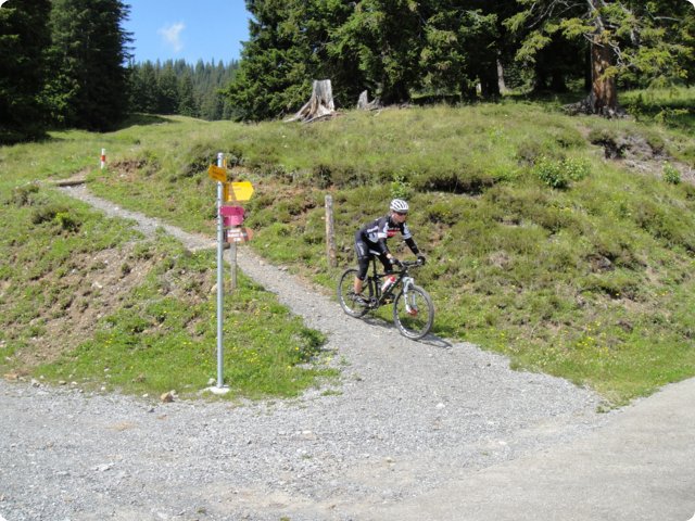 dsc01168.jpg