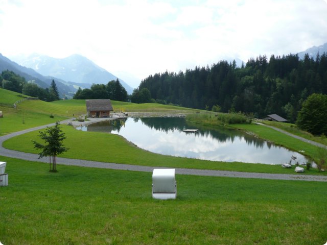 p1040206.jpg