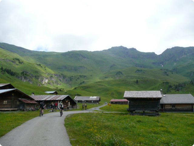 p1040220.jpg