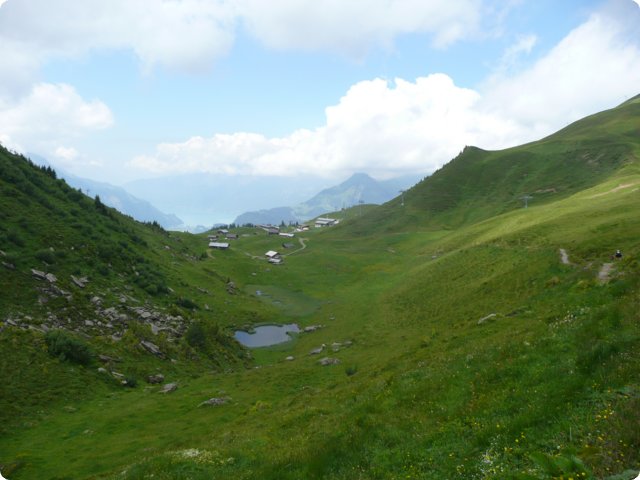 p1040225.jpg