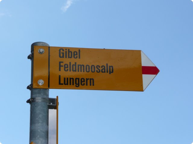 p1040234.jpg