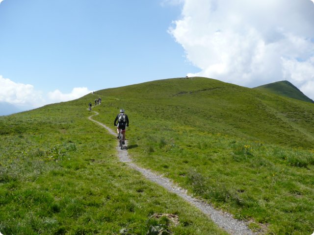 p1040241.jpg