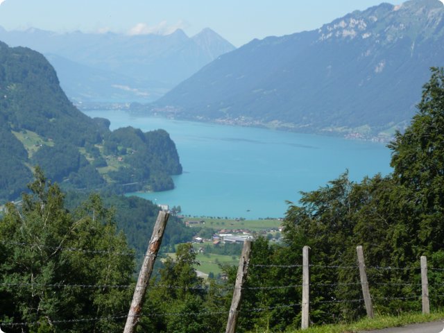 p1040267.jpg