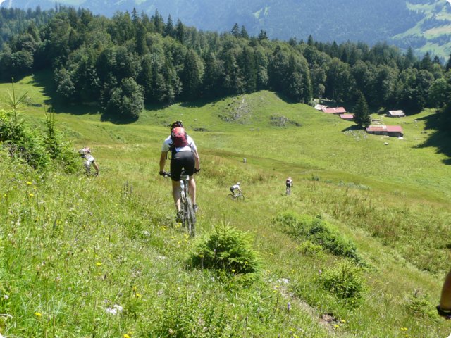 p1040290.jpg