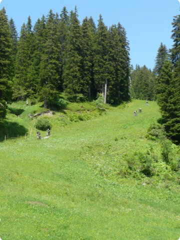 p1050870.jpg
