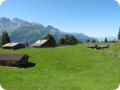 img_0169.jpg
