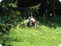 img_0174.jpg