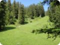 dsc01166.jpg