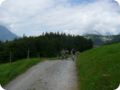 p1040203.jpg