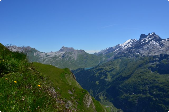 dsc_0224.jpg