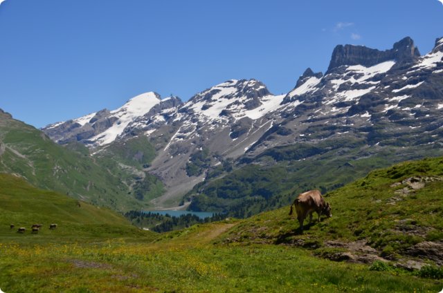 dsc_0313.jpg