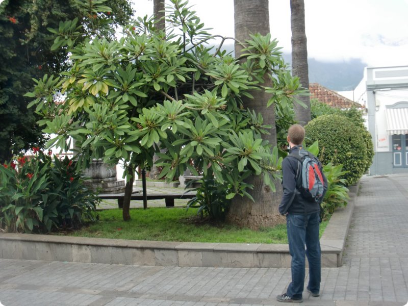 cimg0886.jpg