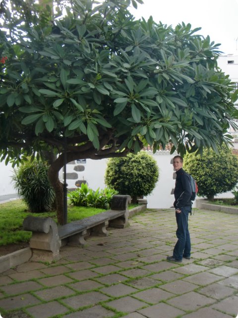cimg0889.jpg