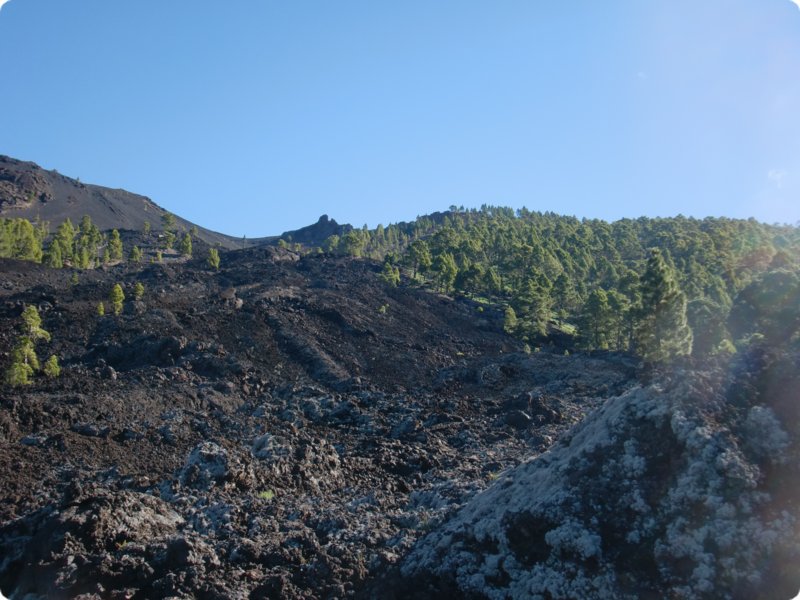 cimg0922.jpg