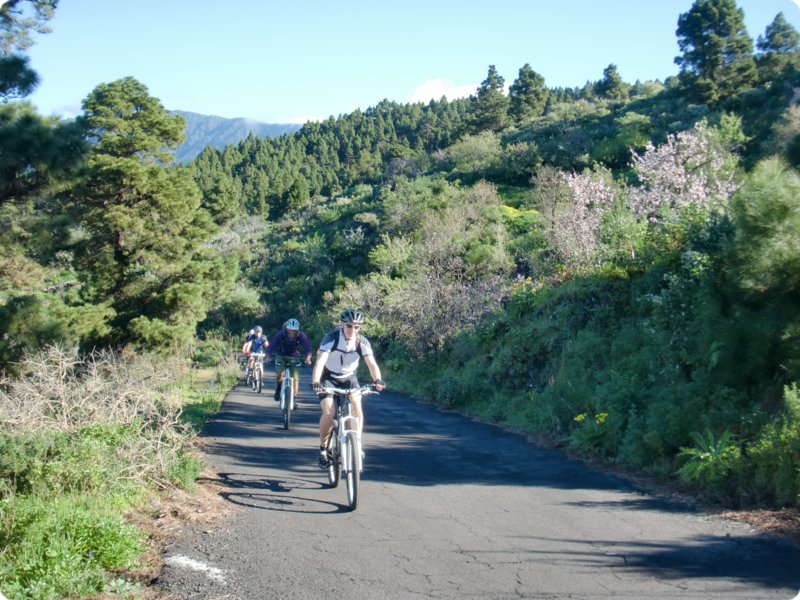 cimg0932.jpg