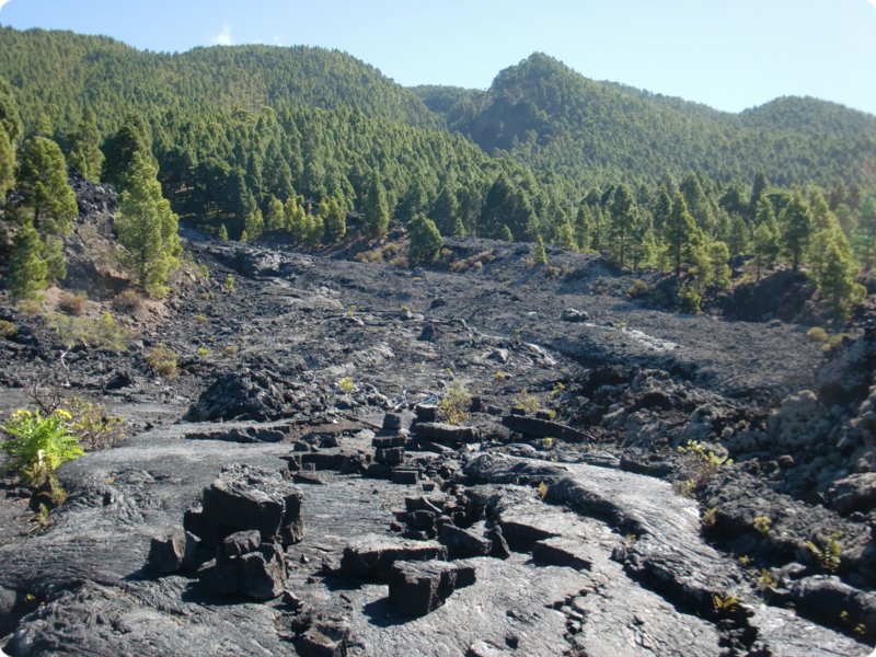 cimg0948.jpg