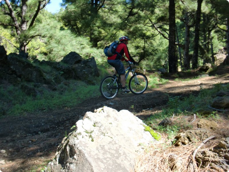 cimg0954.jpg