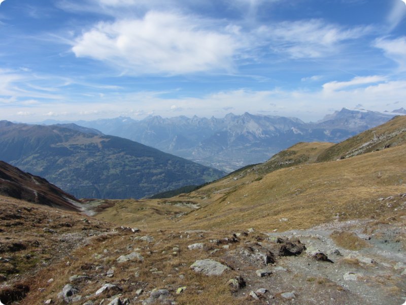 img_0715.jpg