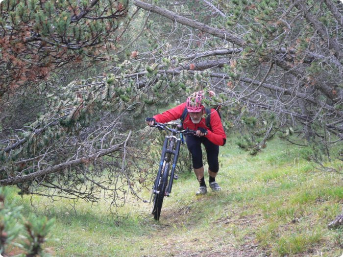 bike-woche_2012_282.jpg