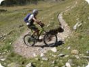 bike-woche_2012_450.jpg
