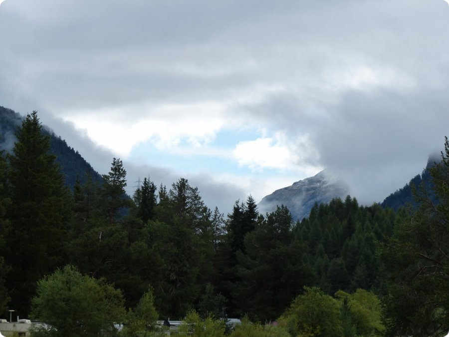 p1030137.jpg
