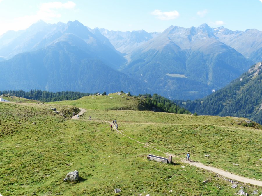 p1050060.jpg