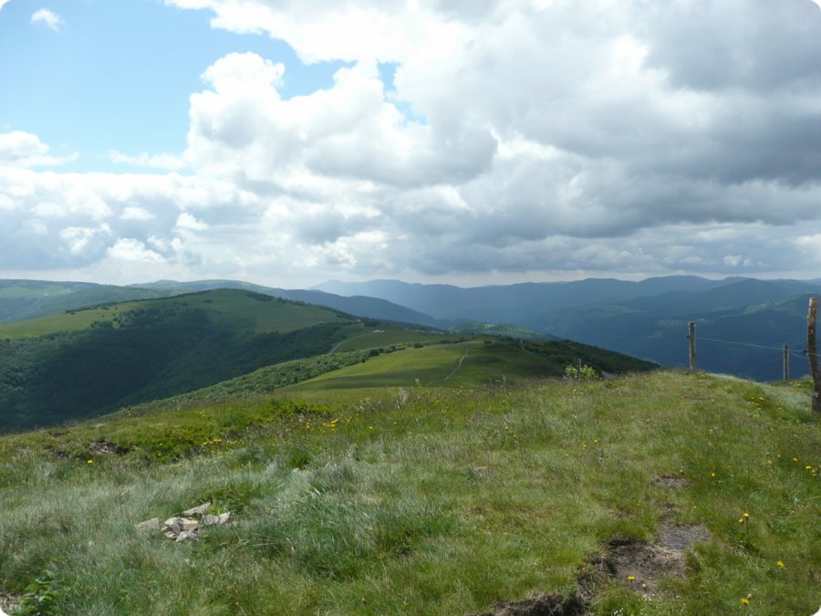 p1080577.jpg