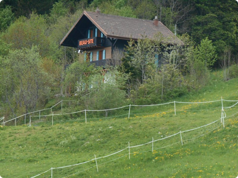 109.jpg