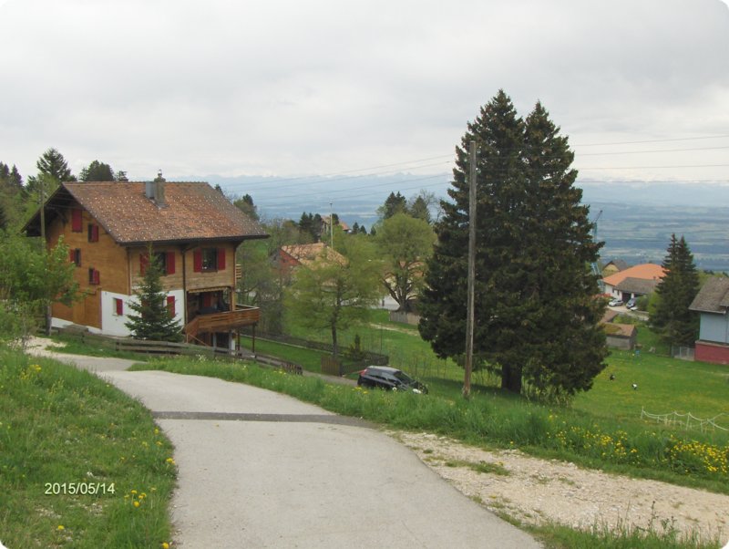 115.jpg