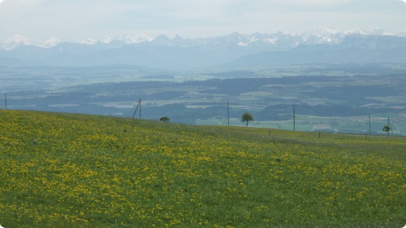 128.jpg