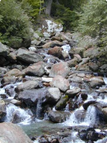 65.jpg