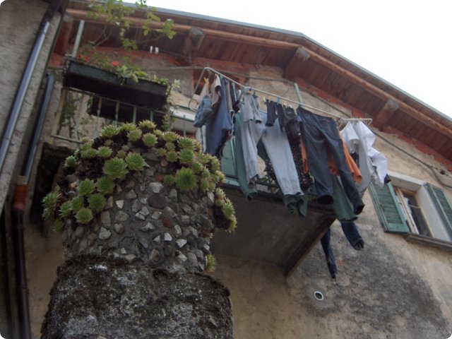 hpim0435.jpg