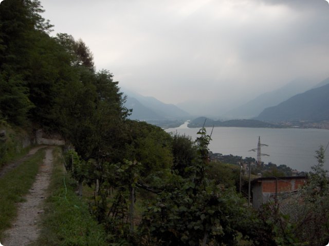 hpim0463.jpg