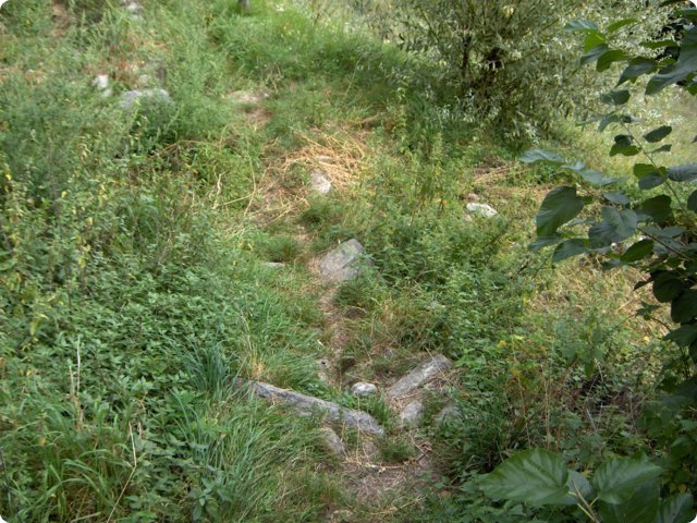 hpim0464.jpg