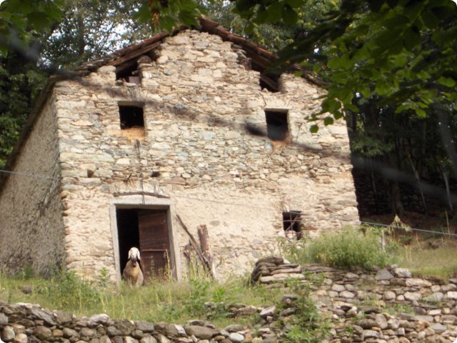 hpim0465.jpg