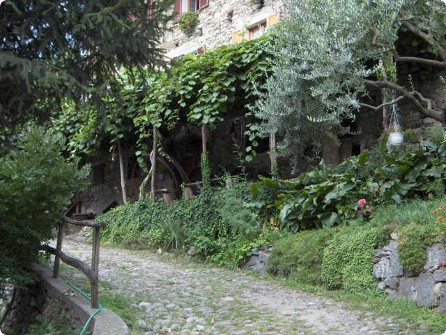 hpim0468.jpg