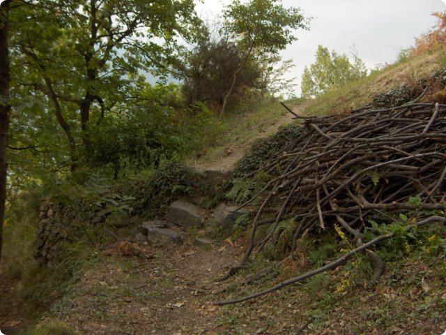 hpim0472.jpg