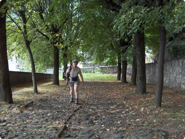 hpim0480.jpg