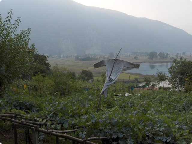 hpim0522.jpg