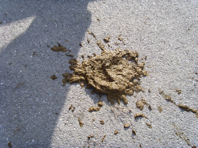 79.jpg