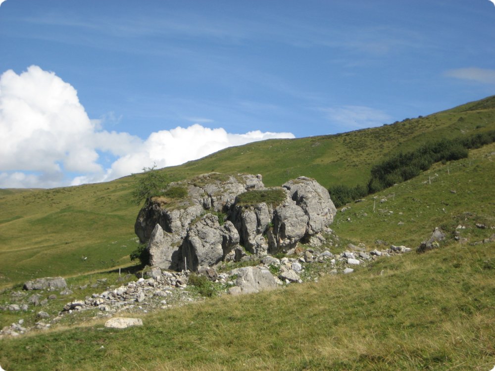 116.jpg