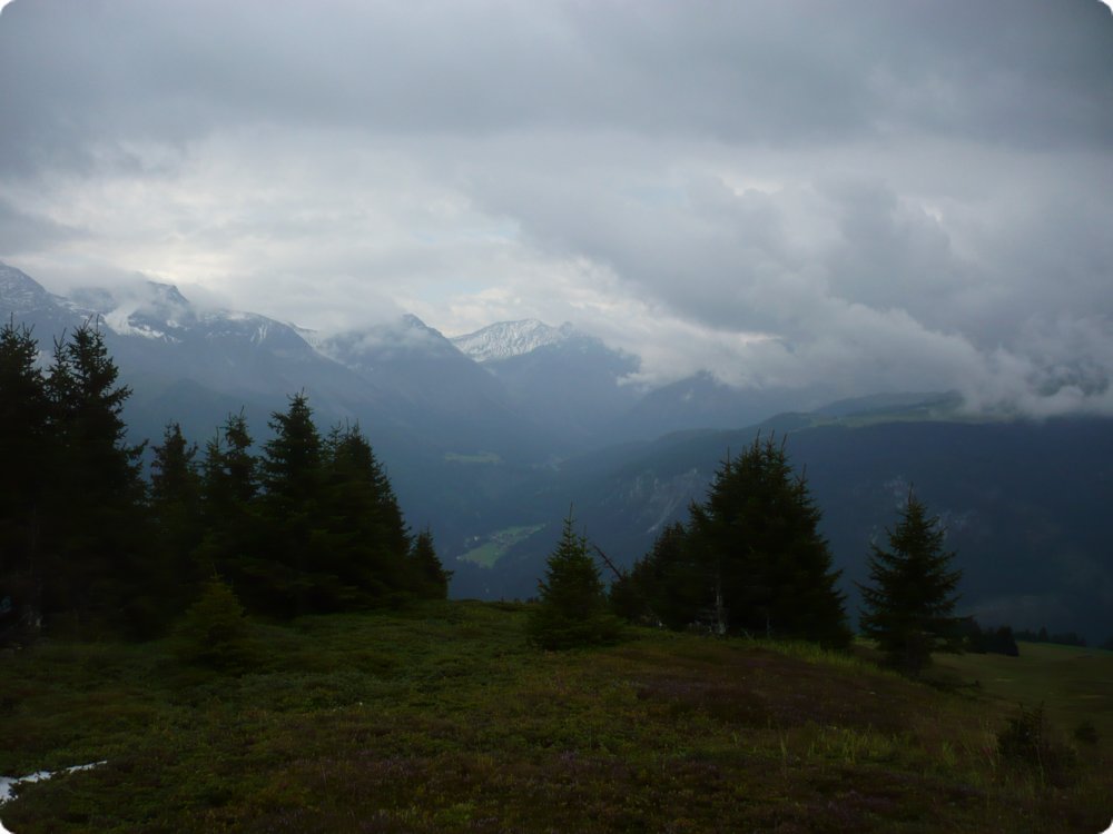 139.jpg