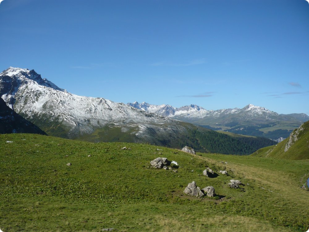 89.jpg