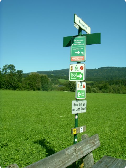 76.jpg