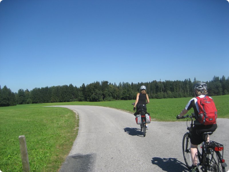 77.jpg
