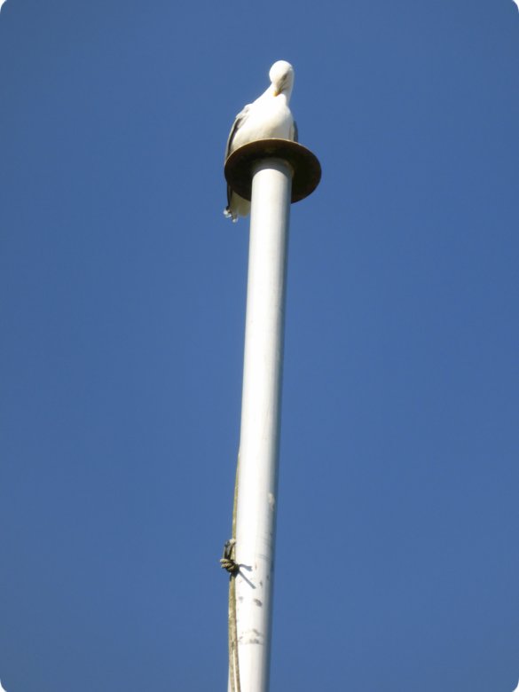 163.jpg